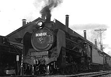 D51533[9KB]
